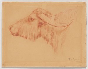Water Buffalo by Rosa Bonheur
