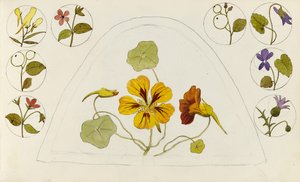 Designs with nasturtiums and other flowers by Rosa Brett