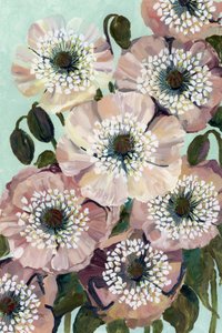 Blush Pink Poppies