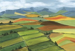 Colorful Rolling Fields