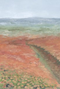 Path Through Blooming Field