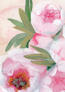 Watercolor Peony Blooms by Rosana Laiz Blursbyai