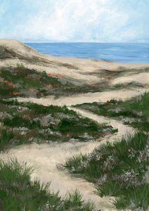 Winding Coastal Path