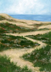 Winding Dune Path