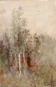 A Tree Study