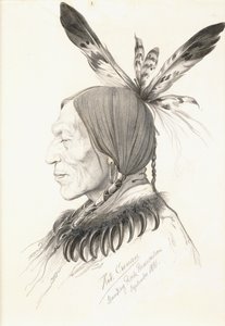 Heu-Topa, Four Horns or Jagoo, The Storyteller, Chief of the Hunkpapa Sioux