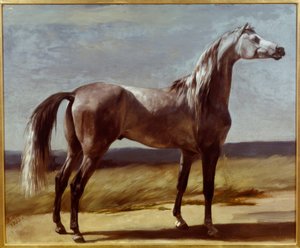 Horse in a Landscape