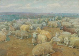 Sheep Park