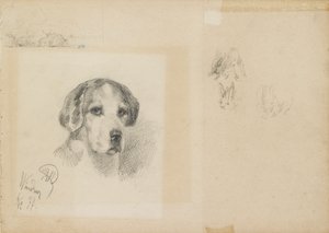 Portrait of a dog: Windsor by Rudolf Wimmer