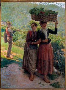 Life in the Countryside: Scene of Seduction in the Vineyards of Tuscany