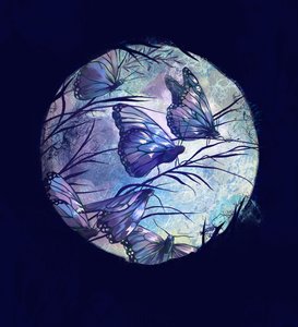 Summer Night, 2016