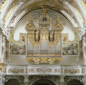 Organ