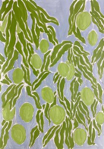 Green Citrus Grove