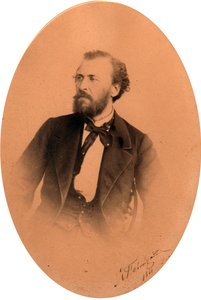 Portrait of the poet Yakov Petrovich Polonsky (1820-1898). Albumin Photo