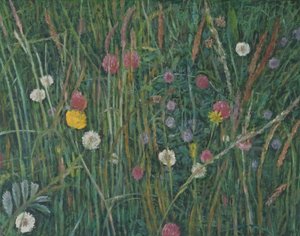 Plants of the Machair, 2008