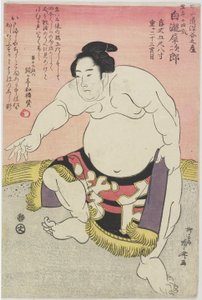 The Sumo Wrestler Shirataki Saijiro
