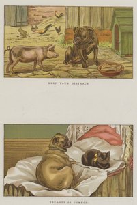 Humorous Dogs by S.T. Dadd