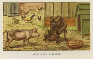 Keep Your Distance by S.T. Dadd