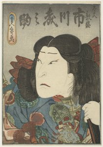 Disguised Courtesan