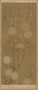 Drooping Cherry Branches in Blossom, Edo period, mid 18th-early 19th century by Sakai Hoitsu