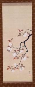 Hanging Scroll Depicting Cherry Blossoms, from A Triptych of the Three Seasons by Sakai Hoitsu