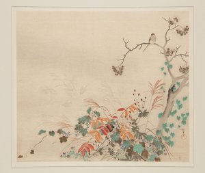 Hawk on Plants by Sakai Hoitsu