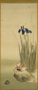 Iris and Mandarin Ducks by Sakai Hoitsu