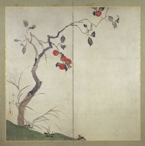 Persimmon on Tree by Sakai Hoitsu