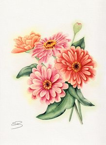 Vibrant Zinnia Bouquet by Salome