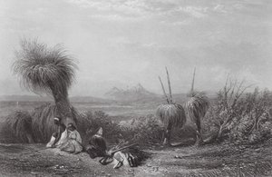 Australia: Grass Tree Plains