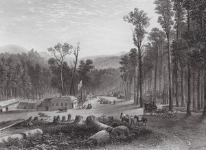 Australia: Marysville, Victory