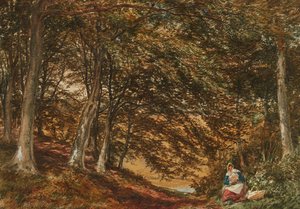 Picnic in the Woods