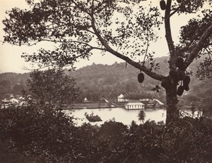 A Peep from Upper Lake Road Showing Temple and Island with Park - Fruit Tree in Foreground by Samuel Bourne