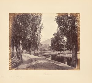 A Pleasant Walk near Srinagar by Samuel Bourne