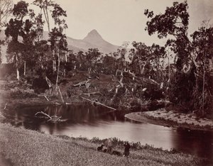 Ceylon Views to Adam