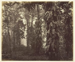 Darjeeling, India, c. 1865