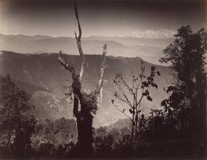 View from Senchal by Samuel Bourne