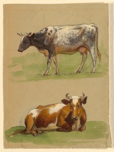 Cattle, a Cow Walking and a Cow Crouching by Samuel Colman