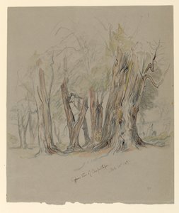Cypress Trees of Chapultepec, Mexico by Samuel Colman