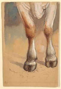 Forelegs of a Standing Cow or Ox, Newport by Samuel Colman