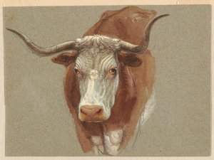 Head of a Cow or Ox