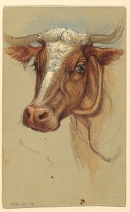 Sketches from Narragansett, Rhode Island