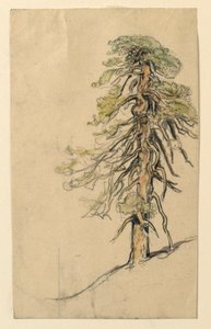 Study of a Tree on a Hillside by Samuel Colman