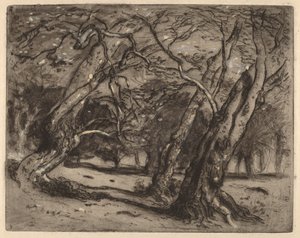 Untitled (Wooded Landscape) by Samuel Colman