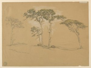 Windblown Pines, Pacific Grove. Verso: Pacific Coast road to Point Sur. by Samuel Colman