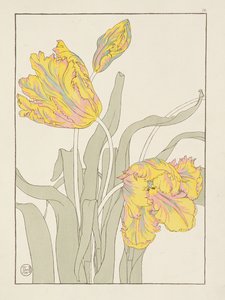 A Bosjeman, a Bosjeswoman, a Booshuana Woman, a Booshuana Man: four head and shoulder vignettes, plate 29 from 