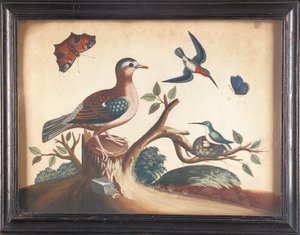 Green Wing