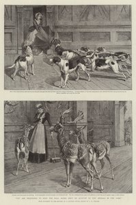 You are requested to keep the Hall Doors shut on Account of the Animals in the Park by Samuel Edmund (after) Waller