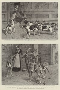 You are requested to keep the Hall Doors shut on Account of the Animals in the Park by Samuel Edmund Waller