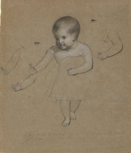 Charlotte Gebhardt Morse by Samuel Finley Breese Morse
